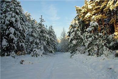 Epic喜加一：《恶灵附身》《无穷时线》免费领